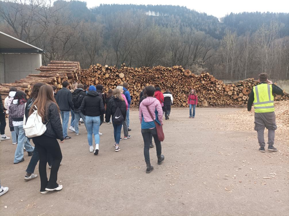 Holzlager beim Biomassekraftwerk