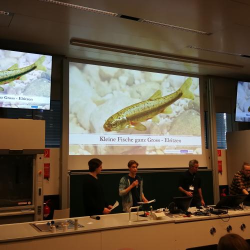 Projekt „Biodiversität der Elritzen“ auf dem ersten Tiroler Sparkling Science Kongress
